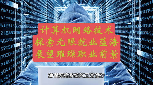 計算機網絡技術 探索無限就業藍海，展望璀璨職業前景