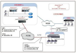 網經科技IPPBX產品對外接口能力之Avaya Aura篇 計算機軟硬件的技術開發實踐