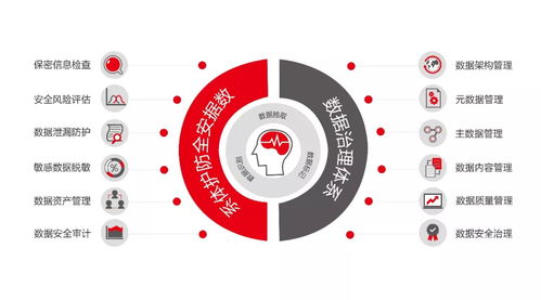 企業(yè)數(shù)據(jù)保護(hù)關(guān)鍵領(lǐng)域與數(shù)據(jù)處理服務(wù)選擇指南